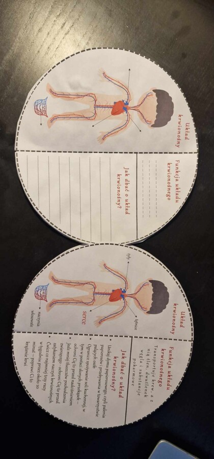 Karty pracy i sketchnotki do wykonania okrągłej książeczki. Układu narządów człowieka. Przyroda 4, „Odkrywamy tajemnice ciała człowieka”.