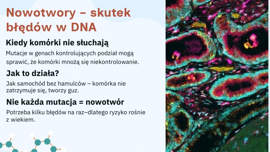 Mutacje - Jak zmiany w DNA wpływają na życie