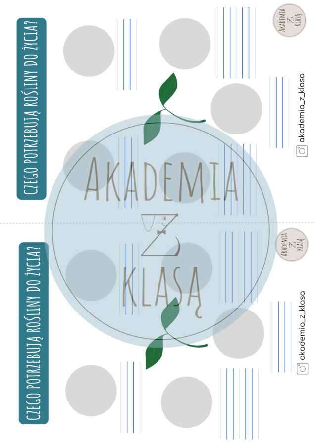 CZEGO POTRZEBUJĄ DO ŻYCIA ROŚLINY? - plansza edukacyjna i karty pracy dla ucznia