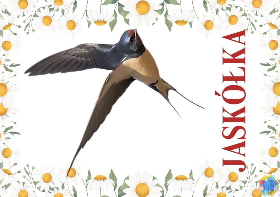 DZIEŃ PTAKÓW - EDUKACYJNA PRZYGODA DLA DZIECI