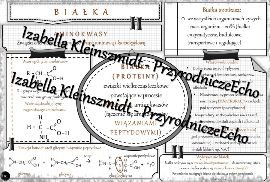 Sketchnotka - notatka „Białka” wykonana w power point do edycji. Chemia 8, „Biologia i chemia”