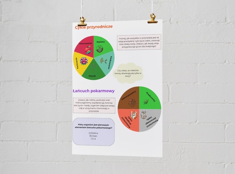 Infografika. Cykle przyrodnicze. Łańcuch pokarmowy. Recykling.