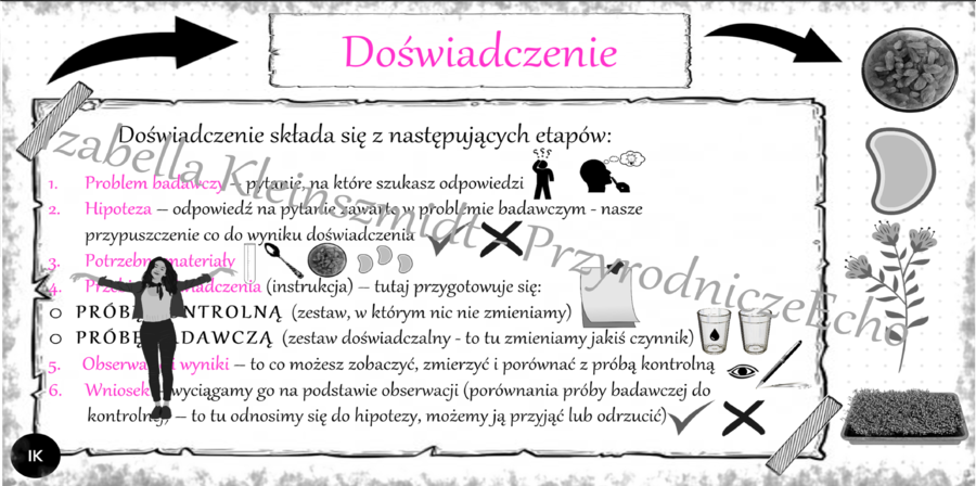 Sketchnotka „Moje pierwsze doświadczenie biologiczne - poznaję etapy doświadczenia” w power point do edycji, PRZYRODA do klasy 4 – dział I „Poznajemy warsztat przyrodnika”