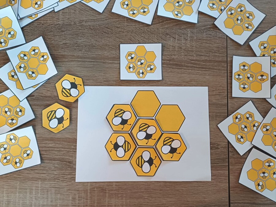 DZIEŃ PSZCZOŁY - ZESTAW