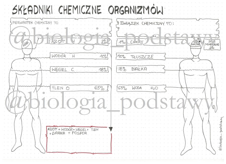 Klasa 5 - Składniki chemiczne organizmów - KP