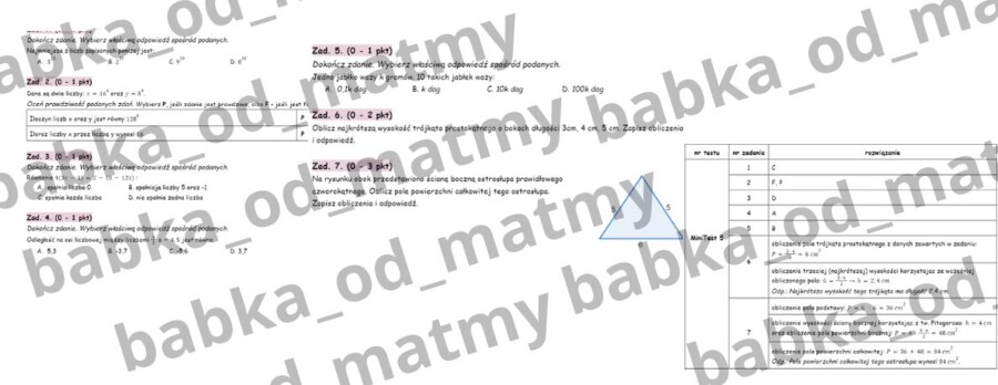Przygotuj się do E8 z matematyki - MiniTest 5