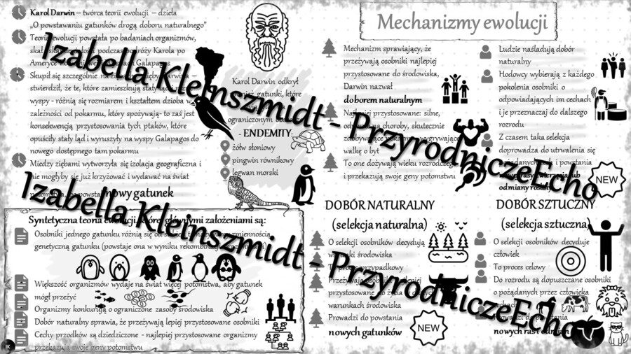 Sketchnotka - notatka „Mechanizmy ewolucji” wykonana w power point do edycji. Biologia 8; „Ewolucja życia”
