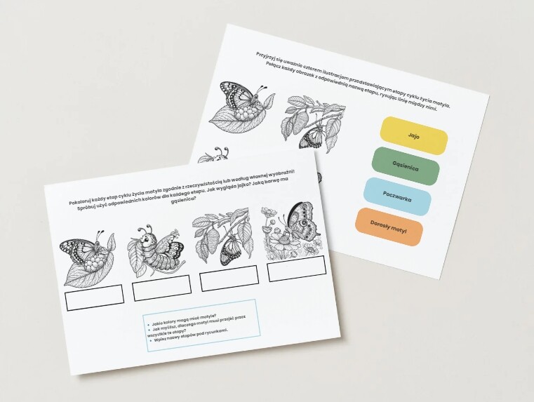 Cykl życia wybranych zwierząt (motyla, żaby, pszczoły)