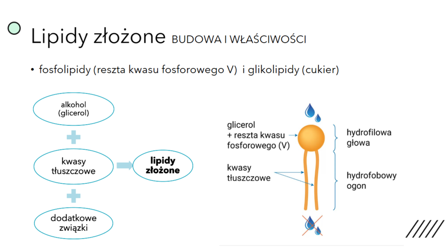 PAKIET: chemiczne podstawy życia KLASA 1 PODSTAWA BIOLOGIA