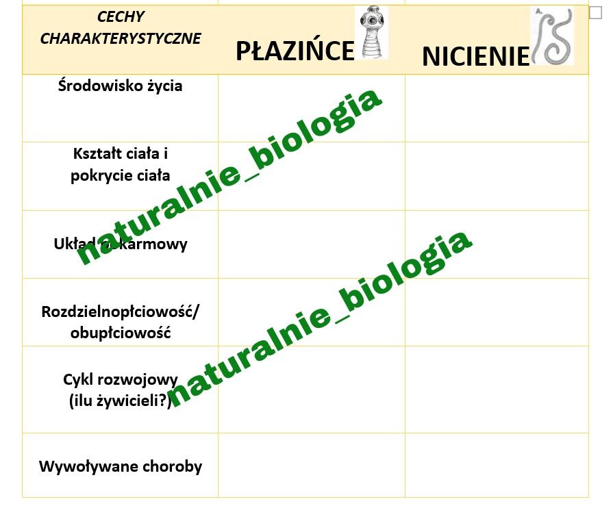 Płazińce i nicienie - porównanie