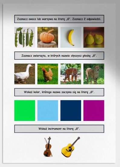 G i g. Karta pracy. Sprawdzian