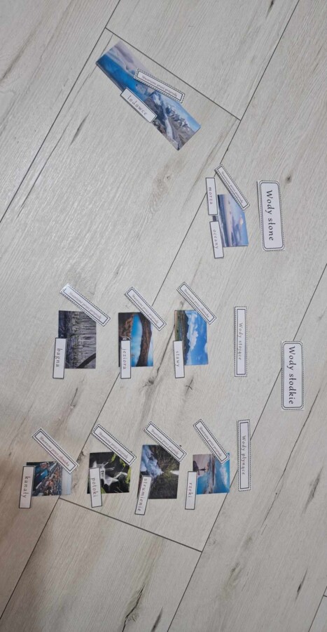 Materiał do zalaminowania/praca w grupach/stacje zadaniowe/układanka/puzzle „Wody słodkie i wody słone” w pdf. Przyroda, dział „Poznajemy krajobraz najbliższej okolicy”.