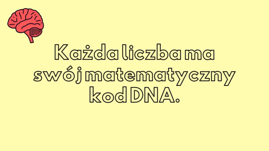 Prezentacja z elementami neurodydaktyki - liczby pierwsze, rozkład na czynniki pierwsze, NWD, NWW