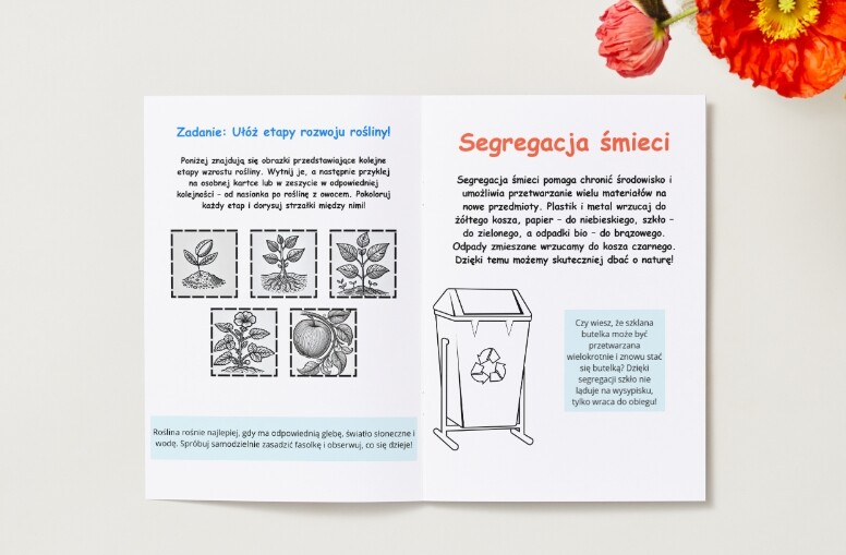 Zwierzęta. Cykl życia rośliny. Segregacja śmieci. Dbanie o przyrodę. KARTA PRACY