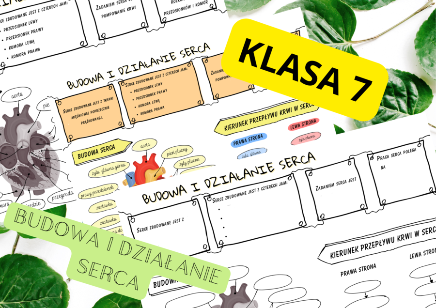 Biologia 7. Budowa i działanie serca