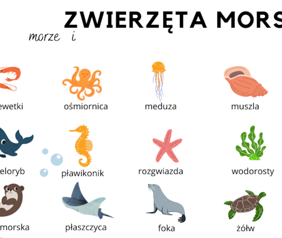 Zwierzęta