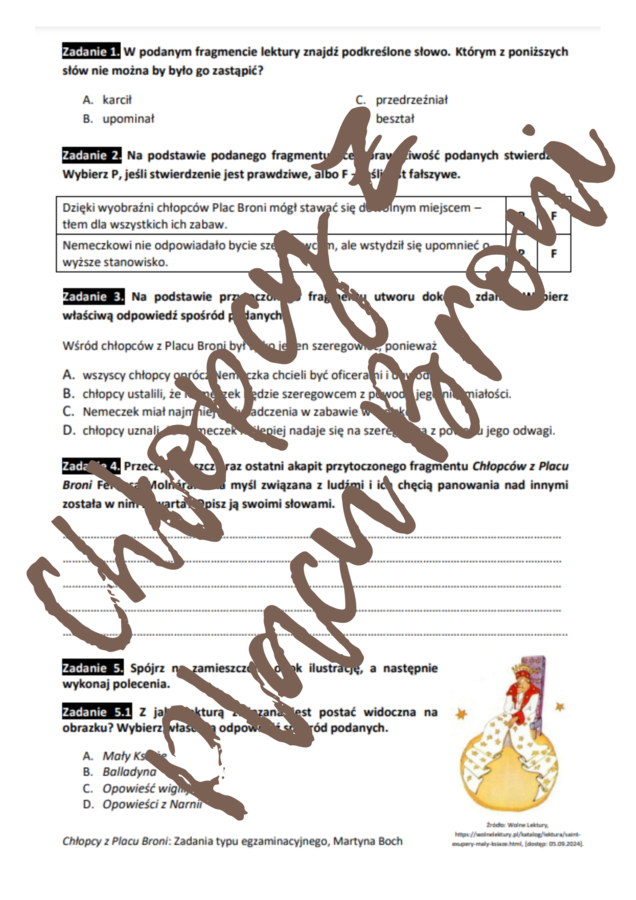 E8 „Chłopcy z Placu Broni” *ZBIÓR ZADAŃ EGZAMINACYJNYCH* – wymagania 2024/2025 i 2025/2026