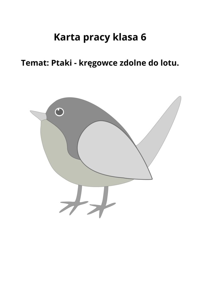 Karta pracy - przystosowanie do środowiska życia i budowa jaja