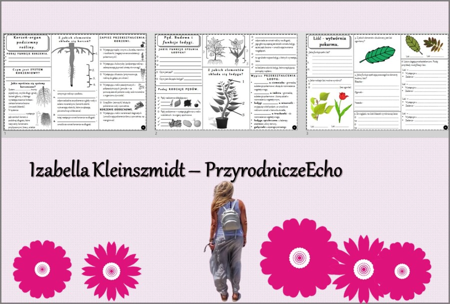 Zestaw kart pracy w pdf do całego działu „Tkanki i organy roślinne”. Biologia 5. Nowość 2024/2025.