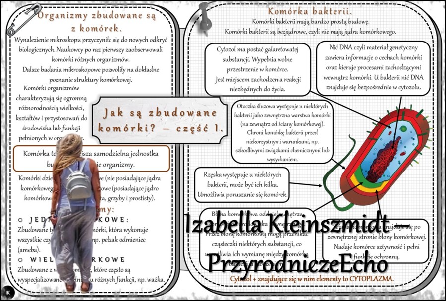 Sketchnotki/notatka/streszczenia/wklejki/ściągi dla ucznia i nauczyciela. Temat „Jak są zbudowane komórki?” w pdf. Biologia 5 dział „Organizacja i chemizacja życia”. Wykonana na podstawie podręcznika z wydawnictwa WSiP.