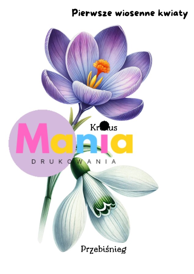 Wiosna/ Pierwszy dzień wiosny