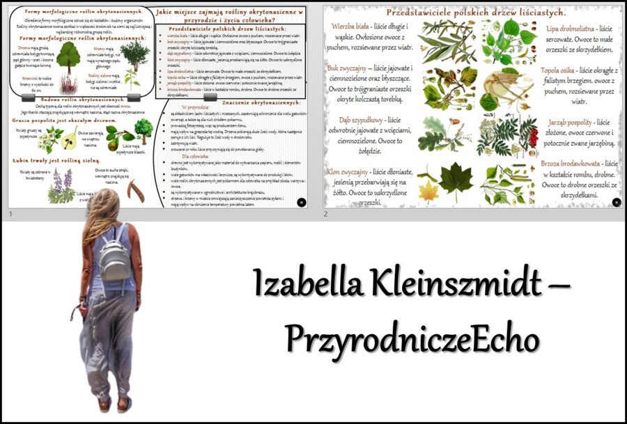 Sketchnotka/notatka/streszczenie/wklejka/ściąga dla ucznia i przypomnienie dla nauczyciela/edukacja domowa. Temat „Jakie miejsce zajmują rośliny okrytonasienne w przyrodzie i życiu człowieka?” w pdf. Biologia 5 dział „Mchy. Paprotniki. Nagonasienne. Okry