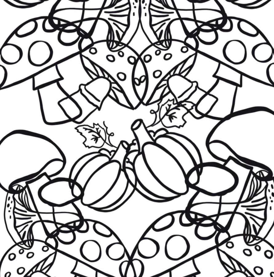 Scenariusz zajęć rewalidacyjnych lub korekcyjno — kompensacyjnych, Bystre Oczko, grzybobranie