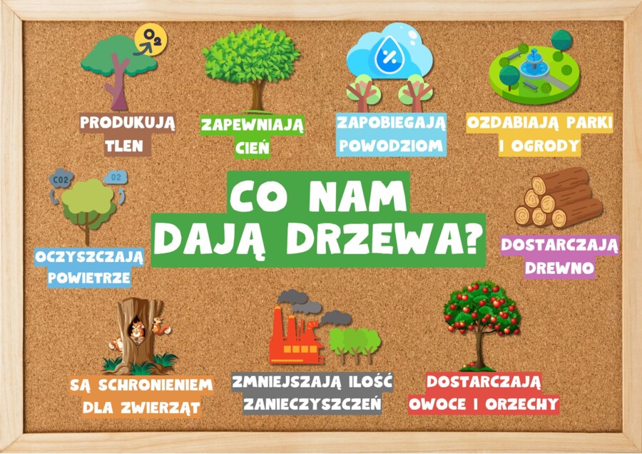 🌳 GAZETKA - CO NAM DAJĄ DRZEWA? 🌳 DZIEŃ DRZEWA 🌳