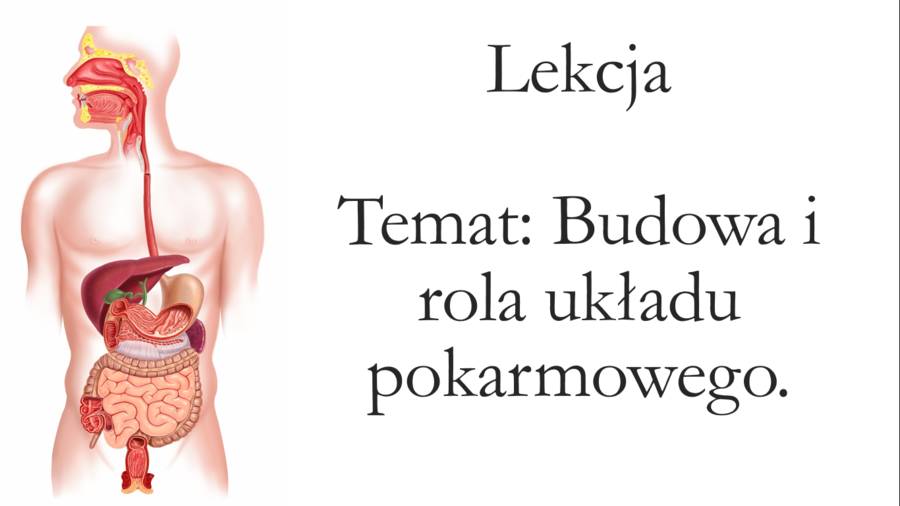 Klasa 7 - Budowa i rola układu pokarmowego - prezentacja