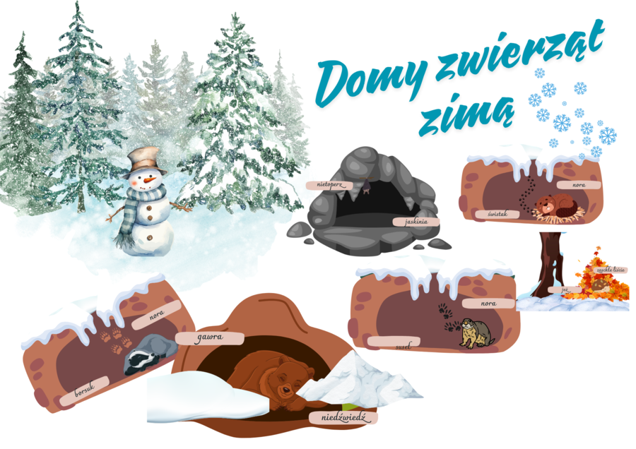 Zimowe domy zwierząt