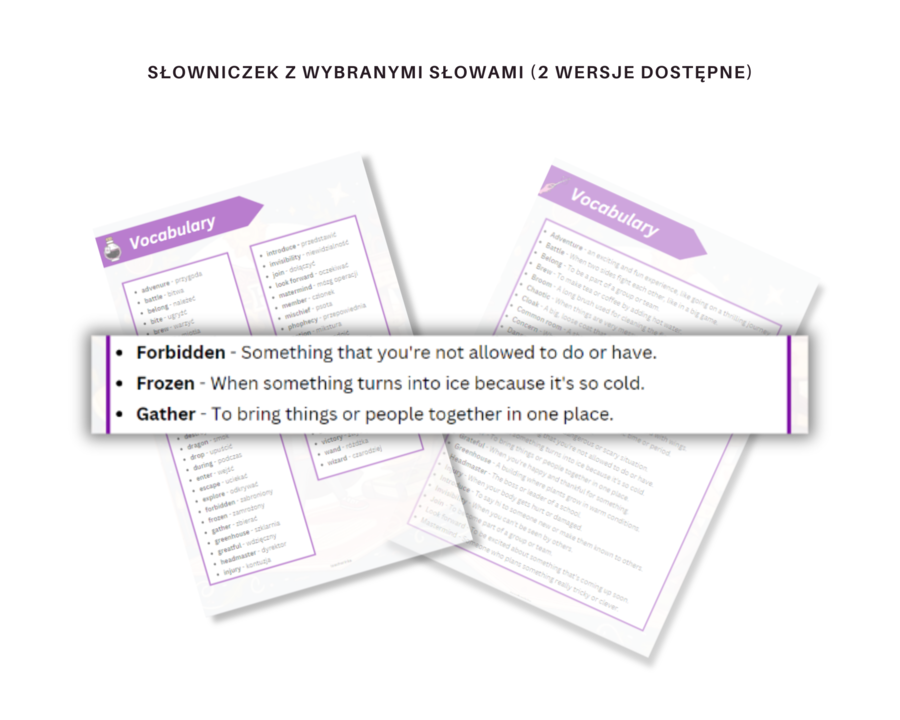 Past Simple adventures with Harry Potter- Zadania gramatyczne na przećwiczenie czasu Past Simple - czasowniki regularne, nieregularne, zdania twierdzące, przeczenia i pytania.