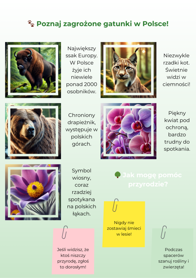 Infografiki. Zagrożone zwierzęta i rośliny. Segregacja odpadów. Oszczędzanie zasobów naturalnych.