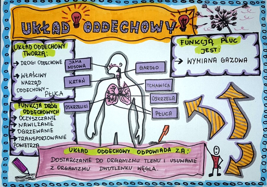 Klasa 4. Przyroda. Karta pracy. Układ oddechowy