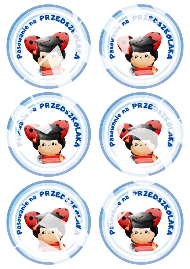 Dyplom pasowania na przedszkolaka - podpisana grupa biedronki