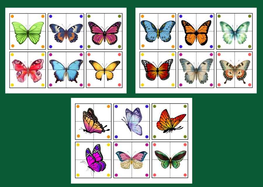 DZIEŃ MOTYLA – puzzle – układanka- układanki – biblioteka – świetlica – przedszkole – 36 wersji - WIOSNA