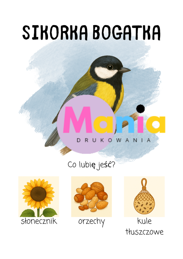 Zima - ponad 150 stron