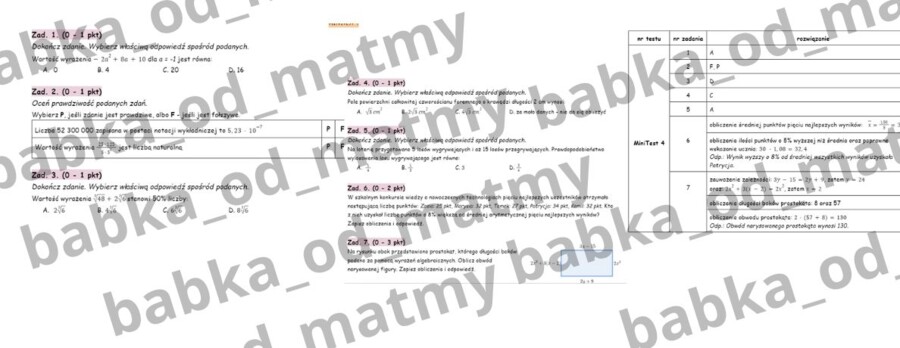 Przygotuj się do E8 z matematyki - MiniTest 4