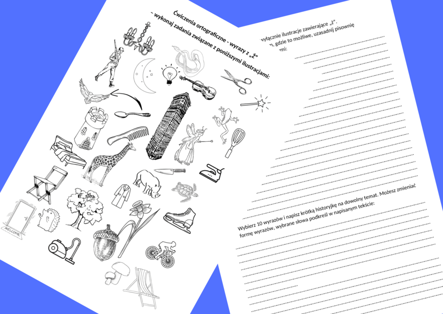 Ortografia – wyrazy z „Ż” – karta pracy