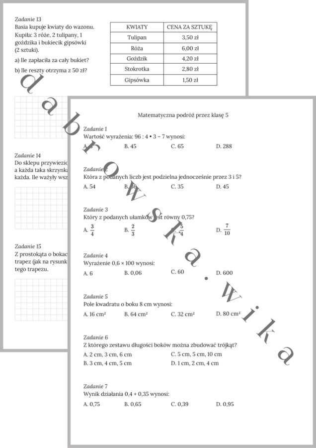 Matematyczna Podróż przez klasę 5