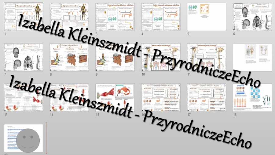 Zestaw sketchnotek i kart pracy + gratisowe linki do prezentacji multimedialnych niekomercyjnych wykonanych w genial.ly do indywidualnego pobrania i użycia do celów niekomercyjnych. Biologia 7, „Aparat ruchu”