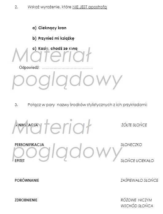 Środki stylistyczne - karta kontrolna /test