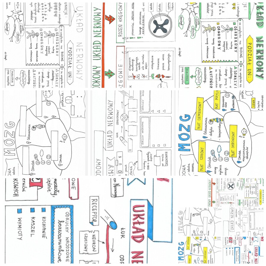 UKŁAD NERWOWY - KLASA 7