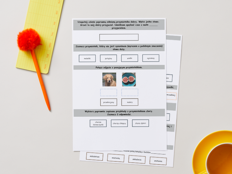 PRZYMIOTNIK I RZECZOWNIK [Karta pracy, sprawdzian]