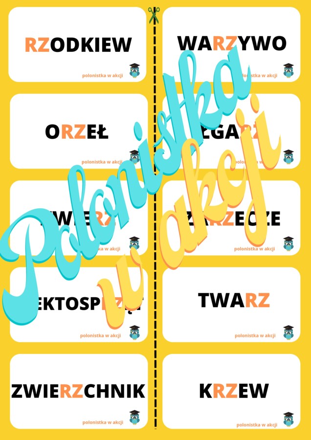 Domino ortograficzne z ,,RZ"