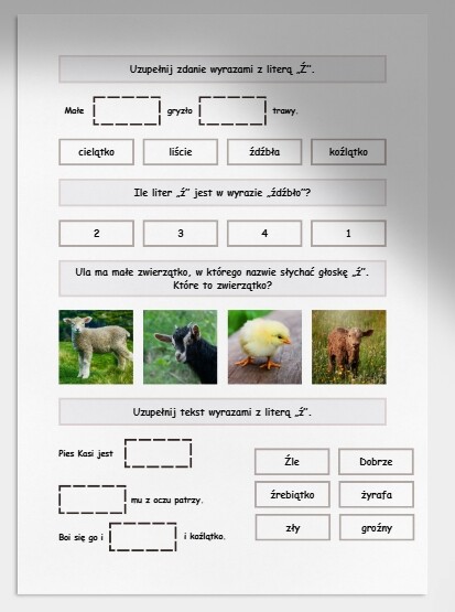 Ź i ź. Karta pracy. Sprawdzian