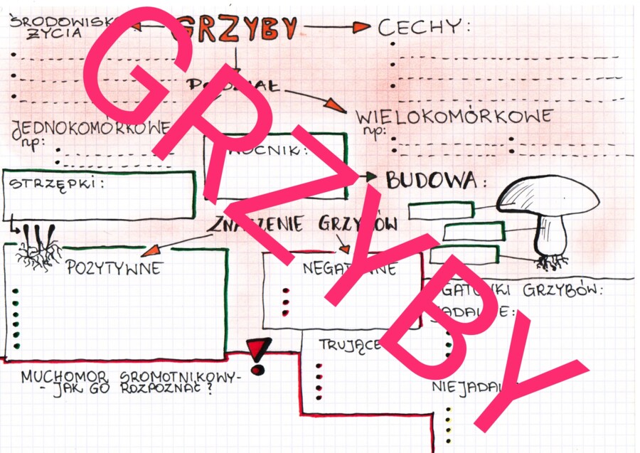 GRZYBY