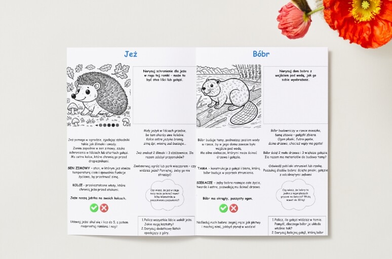 Kolorowanki. Zwierzęta. Rośliny. Drzewa. Las. Łąka. Podstawowe pojęcia (przyroda).