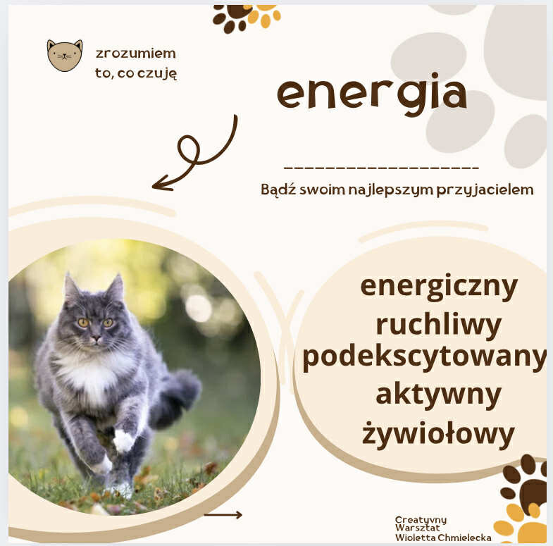 ROZUMIEM. CO CZUJĘ 20 kart z uczuciami i emocjami