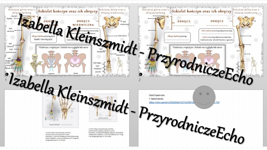 Minizestaw na temat „Szkielet kończyn” – sketchnotka + karta pracy w power point + gratisowy link do prezentacji multimedialnej niekomercyjnej wykonanej w genial.ly do indywidualnego pobrania i użycia do celów niekomercyjnych. Biologia 7, „Układ ruchu”