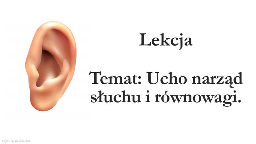 Ucho - klasa 7 - prezentacja